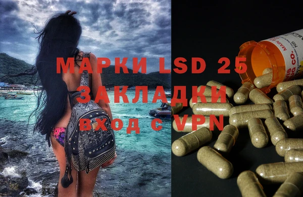 сатива Белоозёрский