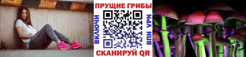 где купить наркоту  Астрахань  Псилоцибиновые грибы Cubensis 